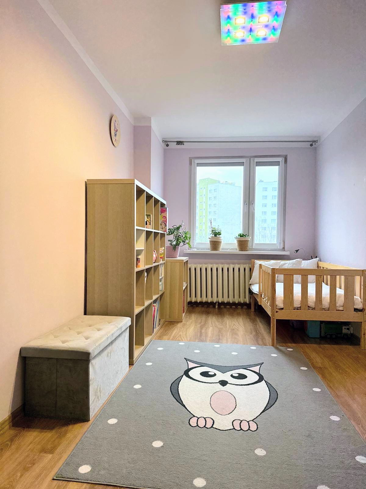 IMG-20260127-WA0029~2 (1)